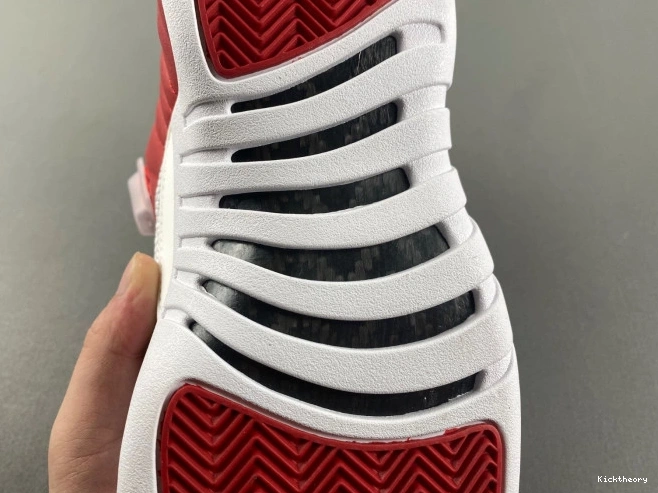 Kick Theory Alternate Air Jordan 130690-600 12 0807